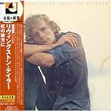 ���̔ޕ���