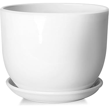 Amazon.co.jp 最新リリース: 鉢・プランター用品 の新着