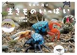 奄美の海は生きものいっぱい