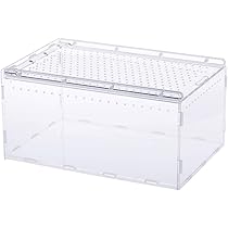 昆虫飼育用透明ケース 仕切り付き　デジケース　HR-1 21セット Amazon.co.jp: 飼育ケース 爬虫類 ケージ 昆虫飼育ケース 飼育