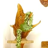 MANJA WOO-0278-H リゾートオブジェ チーク 原木 根っこオブジェ フラワーベース 1点もの (H) 【 アジアン家具 フラワーデコレーション ディスプレイ エスニック アジアンテイスト