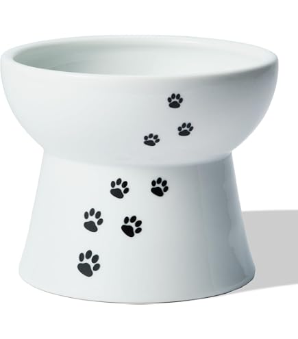 475 we originalフードボウル 食器セット（M） Amazon | we original フードボウル 食器セット（M） | we original