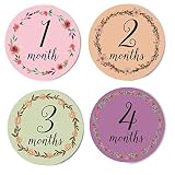 Design Corral Floral Wreaths Monthly Stickers For Baby - Baby Monthly Stickers - Baby Girl [並行輸入品]