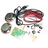 HiLetgo 増幅器DIYキット増幅器電子スイートTDA2822M MAMP-1 [並行輸入品]