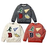 (グレー/95cm)ベビー服 男の子 トレーナー 長袖 LITTLE BEAR CLUB リトルベアークラブ 裏毛 恐竜 ロゴ ワッペン装飾 男児 ベビー