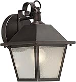 Forte Lighting 1107-01-32 Exterior Wall Light with Clear Seeded Glass Shades, Antique Bronze [並行輸入品]
