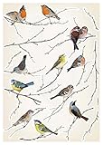 Brewster Komar LV19005 Peel & Stick Birds European Wall Decals [並行輸入品]