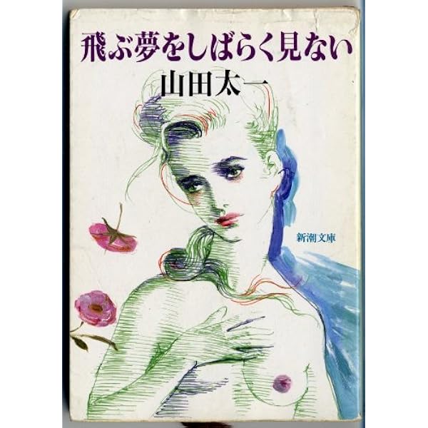 ［激レア　未開封］激レア　DVD 飛ぶ夢をしばらく見ない 山田太一原作 飛ぶ夢をしばらく見ない DVD、細川俊之、石田えり