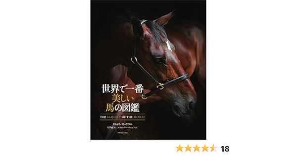 世界で一番美しい馬の図鑑 タムシン ピッケラル アストリッド ハリソン 川岸 史 本 通販 Amazon 世界で一番美しい馬の図鑑 タムシン ピッケラル アストリッド ハリソン 川岸 史 本 通販 Amazon