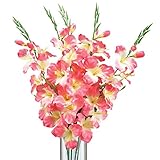Gladiolus Bush Flower Stems Arrangement Bush – 5のセット ピンク 38917 PINK