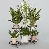 Chengxin Shop-アウトドアプラントスタンド/6ティアバルコニー鉄のメタルフラワーラック - 植物フラワーポットのための棚を立てる安定した植物スタンドサポート堅固なガーデンストレージ棚/屋外