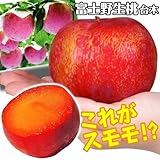 国華園　果樹苗　スモモ　貴陽　富士野生桃R　1株【※発送が国華園からの場合のみ正規品です】
