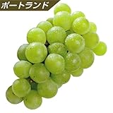 国華園　果樹苗　ブドウ　ポートランド　1株
