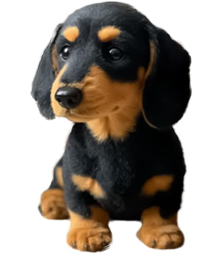 Amazon.co.jp: ドイツ ヴィンテージ くるくる巻き毛のダックスフンド