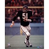 Steiner Sports NFL Chicago Bears Dick Butkus Chicago Bearsブルージャージー垂直16 x 20フォト