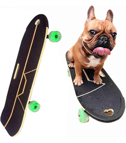 Amazon | サーフスタンド付き犬スケートボード ペットスケートボード