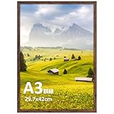 Giftgarden 額縁 フォトフレーム A3 賞状額 軽量 サイズ 壁掛け タイプ 風景 ポスター 飾り 1枚 コーヒー色