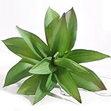 Luyue かわいい まあるい シミュレーションの多肉植物 人工観賞用植物 インテリア グリーン 植物