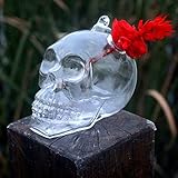 attachmenttou ガーデンフラワーポット ガラスの花瓶ハンギング スカルの形 水耕植物 クリスタルオリジナリティ