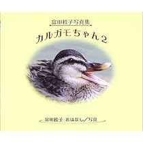 ****カルガモちゃん**** 51EPP45RQ0L._AC_UL210_SR210,