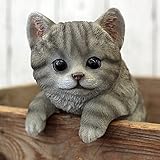 野川農園しまグレーねこ(ひっかけ)