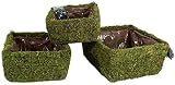 Super Moss 29325 Preserved Moss Square Hanging Basket, Spring Green, Set of 3 [並行輸入品]