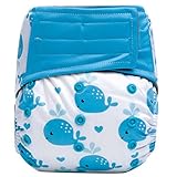 HappyEndings Night, NightTM All In One Charcoal Bamboo Hook Loop Closure Cloth Diaper (+Pocket and 5