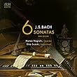 リコーダーとチェンバロによる J. S. バッハ 6つのソナタ BWV 525-530