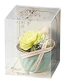 Paseo クリアケース入り プリザーブドフラワー ケークフラワー グリーン 8×8×H10cm SG-105A