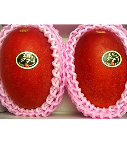 Amazon.co.jp: 【宮崎県産】太陽のタマゴ 化粧箱入 4Lサイズ2玉 510g