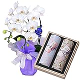 奥野晴明堂のお線香 花くらべ 2本入 桜・紅梅　特選ミディ胡蝶蘭 2本立ち 白色　アマビリス　4号陶器鉢　お供えラッピング　セット　フランス製リボン