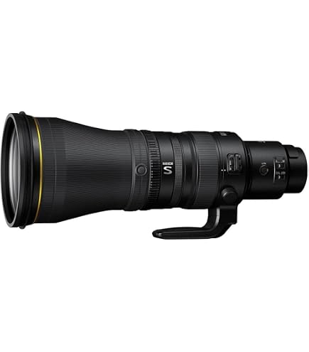 Amazon.co.jp: Nikon 超望遠単焦点レンズ NIKKOR Z 400mm f/2.8 TC VR