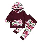 Tovadoo 子供服 ベビー服 女の子 パーカー＋ズボン セットアップ バラ ローズ 長袖 秋冬 おしゃれ ファッション パーティー 旅行 保育園