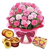 おいもや 母の日プレゼント カーネーション 鉢植え 花 スイーツ ギフト お菓子 ホットハート スイートポテト MD