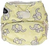 Imagine Baby Products Pocket Hook and Loop Diaper, Trumpet by Imagine Baby Products