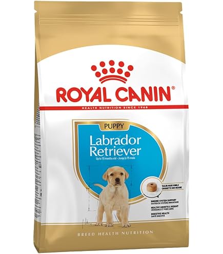 Amazon.co.jp: ロイヤルカナン ラブラドールレトリバー 成犬・高齢犬用