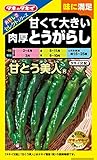 タキイ種苗 おいしさセレクト 甘くて大きい 肉厚とうがらし 甘とう美人