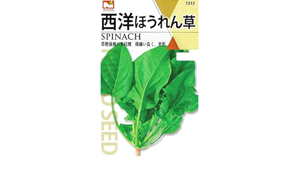 Amazon 種子 西洋ほうれん草 1313 野菜