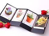 チョイスギフトフラワーカード｢アクイユ｣Roseコース カタログギフト 選べるギフト