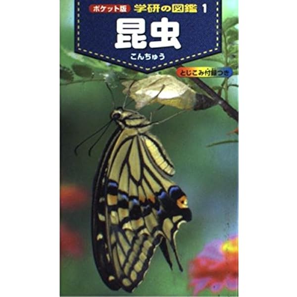 新・ポケット版 学研の図鑑 1～21巻+1冊 22冊セット 新・