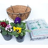 【ハンキングバスケットセット】季節の花苗4鉢(パンジー)&ハンキングバスケット&培養土セット ガーデニング 園芸 苗