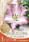 カネコ種苗 オリエンタル百合 スーパーマスター 1球入