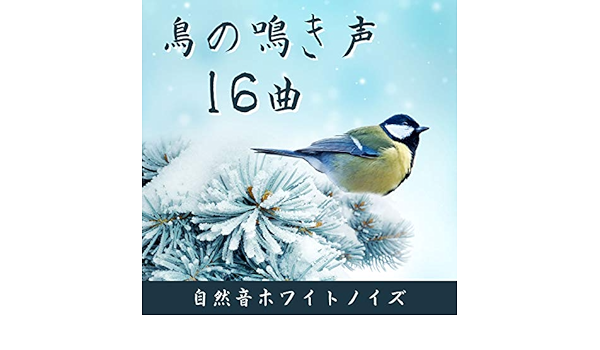 Amazon Music 森のメロディーのすずめの鳴き声 Amazon Co Jp