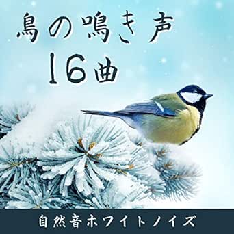 Amazon Music 森のメロディーのすずめの鳴き声 Amazon Co Jp