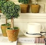 【Abz Company】 フェイク グリーン 星 スター 型 M サイズ トピアリー ボール お世話のいらない 癒しの グリーン 観葉植物 光触媒 インテリア 人工観葉植物 星 M