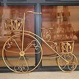 ZYN フラワースタンドアイアンアート自転車装飾的な壁にマウントされた多層植木鉢植物スタンド (色 : ゴールド, サイズ さいず : L64CM*H62.5CM)