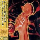 �V�[�N���b�g�E���[���h�E���C�u