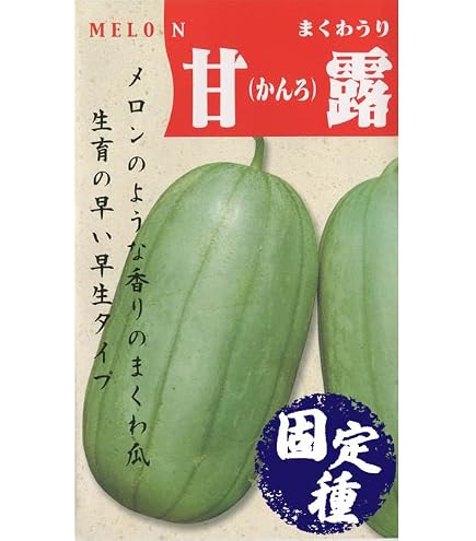 Amazon.co.jp: ハヤトウリ（隼人瓜）の種（5粒） : DIY・工具・ガーデン