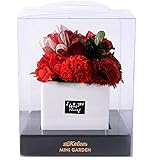 Airyus ソープフラワー フレグランス 石鹸の花 枯れない フラワーギフト 陶器入り アレンジメント (レッド)