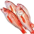 魚水島 のどぐろ 新潟・日本海産 ノドグロ 300g以上・4尾（生冷凍）